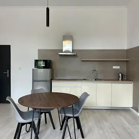 Apartament Scandinavian Spacious