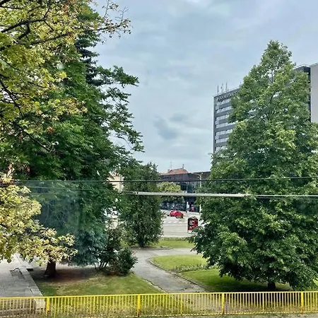 Apartament Scandinavian Spacious *