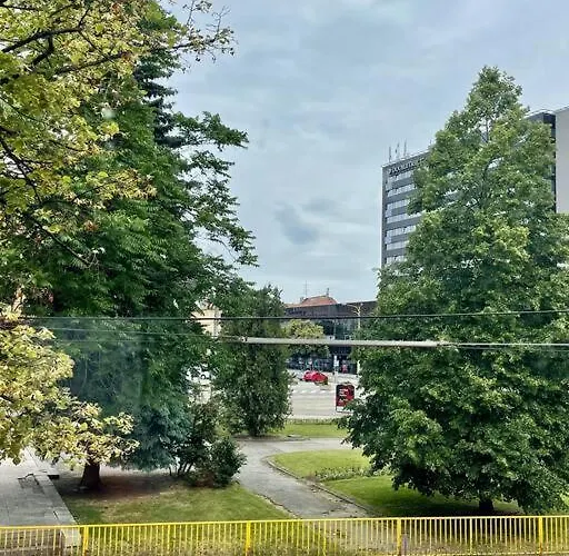 Apartament Scandinavian Spacious *